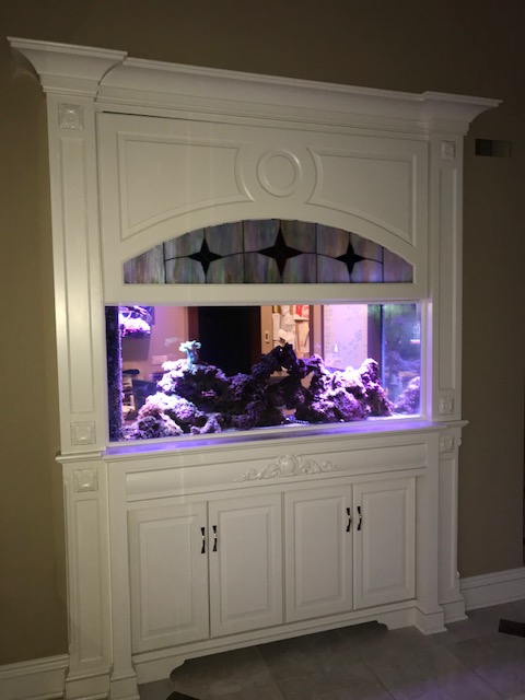 aquarium maintenance in wall set up